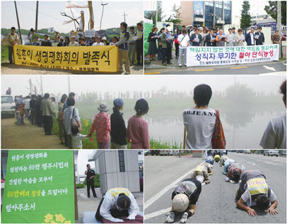 사진9. 두꺼비 살리기 운동의 주요 활동들(2004년)
