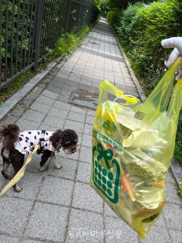 반려견 폰 기자와 함께. 박선주 마을기자는 강아지(폰 기자)와 함께 산책하면서 사람도 만나고 쓰레기를 줍는다.